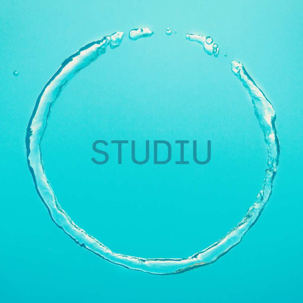 Studiu